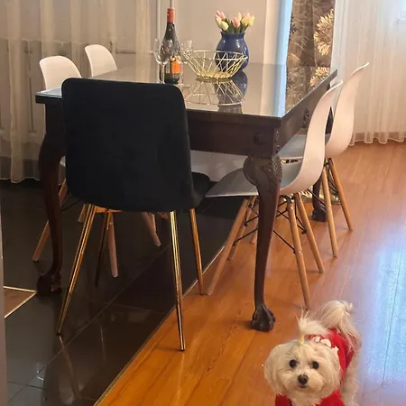 Diana - Traugutta * Wrocław