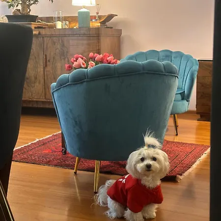 Diana - Traugutta Wrocław