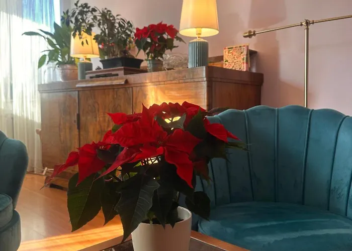 Diana - Traugutta Apartment